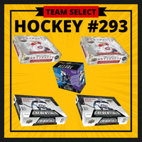 HOCKEY #293 TEAM SELECT HOCKEY 24/25 (5 BOXES)
