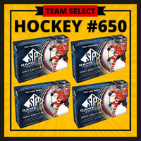 HOCKEY #650 TEAM SELECT GAME USED 25/26