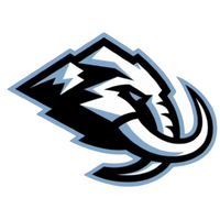 HOCKEY #552 TEAM SELECT 24/25 (MIXER 5 BOXES)