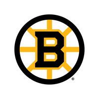 HOCKEY #668 TEAM SELECT ICE HOCKEY 24/25 (5 BOXES)