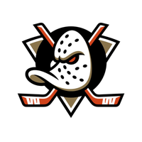 HOCKEY #668 TEAM SELECT ICE HOCKEY 24/25 (5 BOXES)