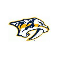 HOCKEY #570 TEAM SELECT GAME USED 25/26