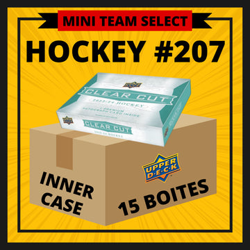 HOCKEY #207 TEAM SELECT MINI (BOSTON-BUFFALO-CALGARY-DETROIT)