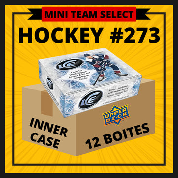 HOCKEY #273 TEAM SELECT MINI (Detroit, Minnesota, NY Rangers, Ottawa)