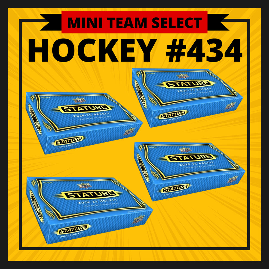 HOCKEY #434 TEAM SELECT MINI FINAL (Buffalo, Chicago, Detroit, Nashville, New Jersey, NY Rangers, Seattle)
