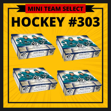 HOCKEY #303 TEAM SELECT MINI (Dallas, Los Angeles, NY Islanders, NY Rangers, Pittsburgh, Tampa Bay, Toronto, Washington)