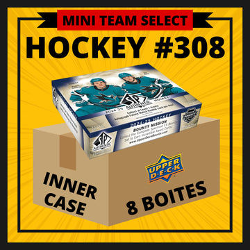 HOCKEY #308 TEAM SELECT MINI (EDMONTON, NY ISLANDERS, NY RANGERS, TAMPA BAY)