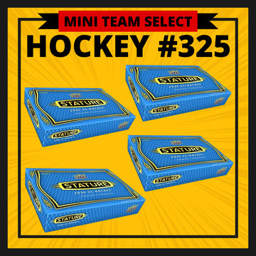 HOCKEY #325 TEAM SELECT MINI (Detroit, San Jose)