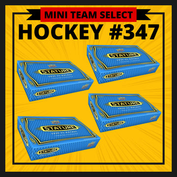 HOCKEY #347 TEAM SELECT MINI (Chicago, Edmonton, NY Rangers)
